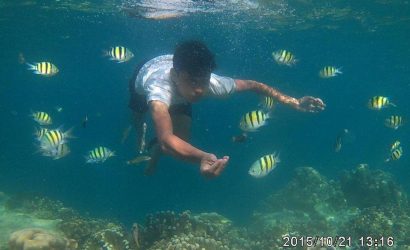 Paket-Tour-Pulau-Pagang-Under-Water