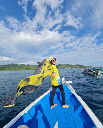 Tour Pulau